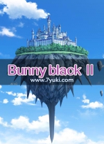 Bunny black Ⅱ游戏场景素材